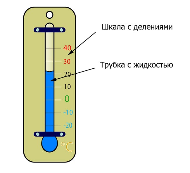 Части термометра
